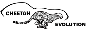 Cheetah Evolution